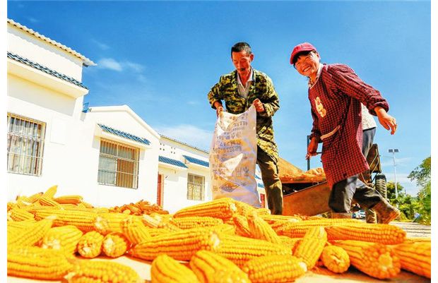 ��Óؚ���ԡ���������