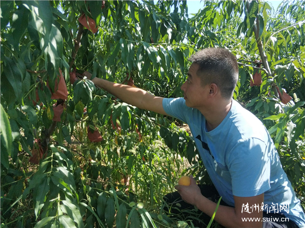 �������҂���С��������R��:�������ӡ����С��·