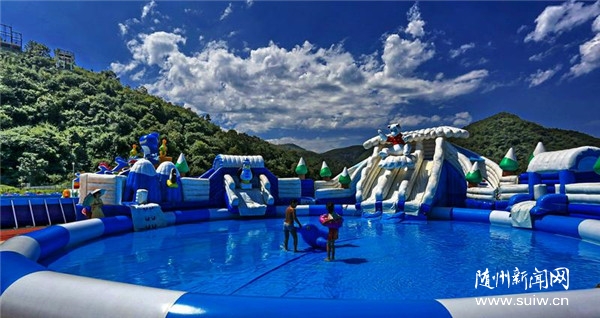 ���ɽ��չ�������Ŀ