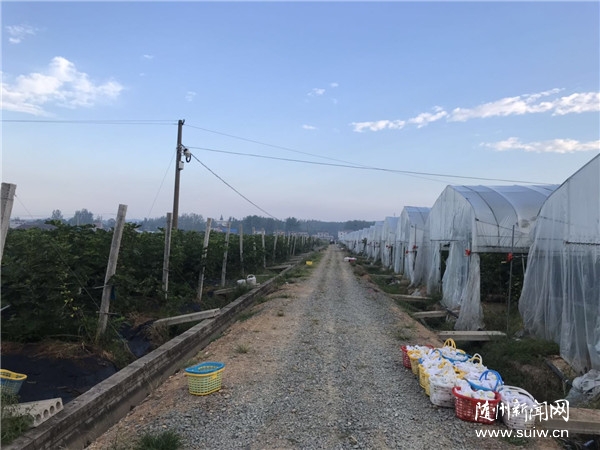 �������҂���С��������ҺӴ�:�o�����_���¸���������