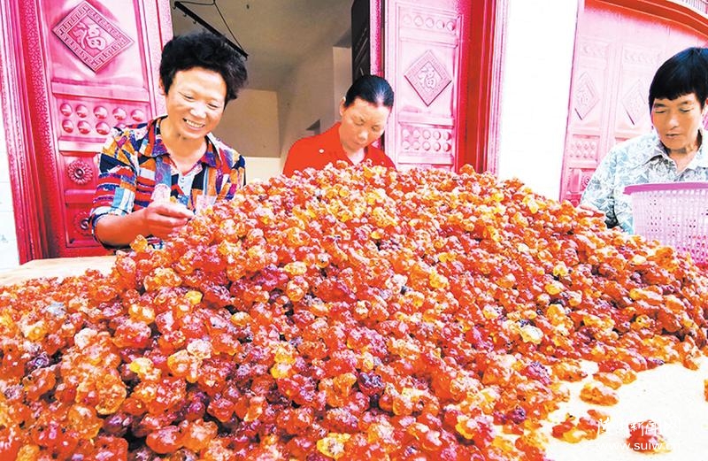 ���r(n��ng)�¸��ġ������