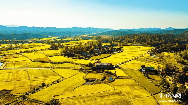 �����ؿ��\�C