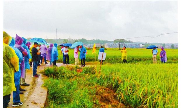 ��(y��u)�|���a�I(y��)�l(f��)չ�^Ħ���