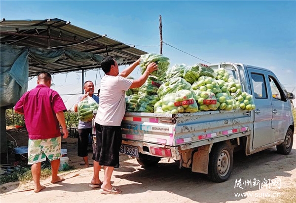 ���w�Nֲ������