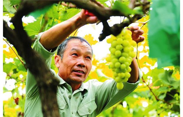 ���Ѿ����N����