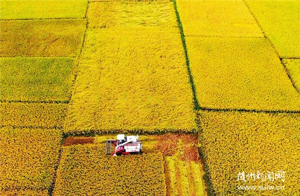 �����r(n��ng)�C(j��)�ո�æ