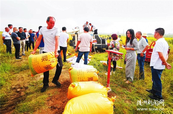 �㵾�S����