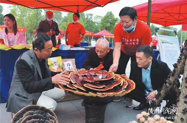 �Ƽ������`֥�l(f��)չ