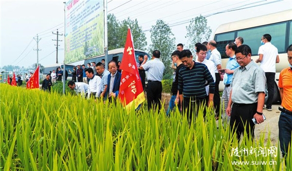 ��Ʒζ�S���㵾��Փ�����S���㵾���l(f��)չ