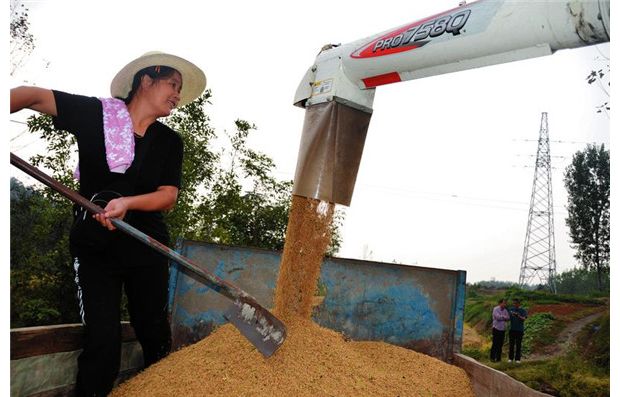 �㵾ϲ�@�S��