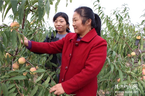 �����^(q��)�ε��(zh��n)��(chu��ng)�I(y��)�����û����ڄڱ���·