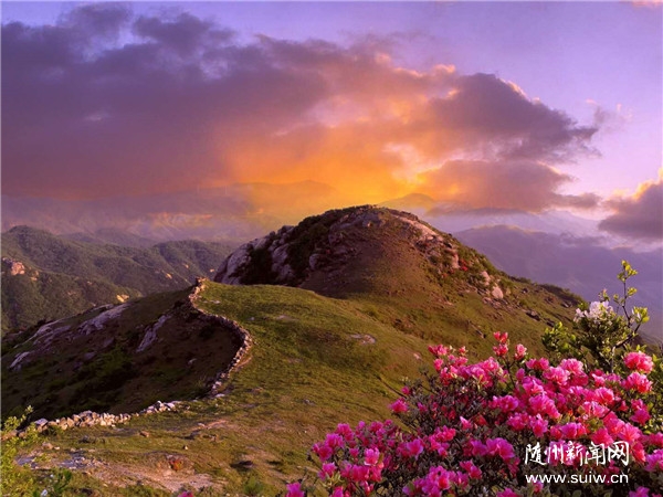 ��̶���^(q��)ͨ�^����4A�����^(q��)���^�|(zh��)���u��