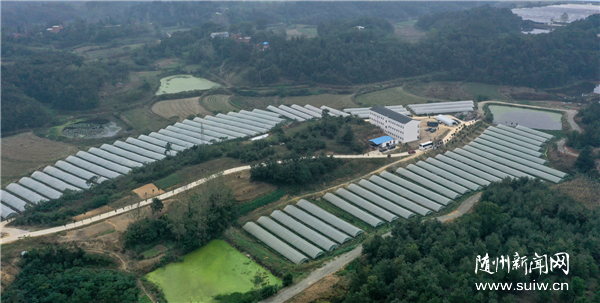 �������S�ݿ��l(f��)չ���߲�����Ԓ�S��