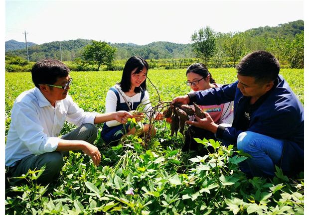 ����ϲ�@�S��