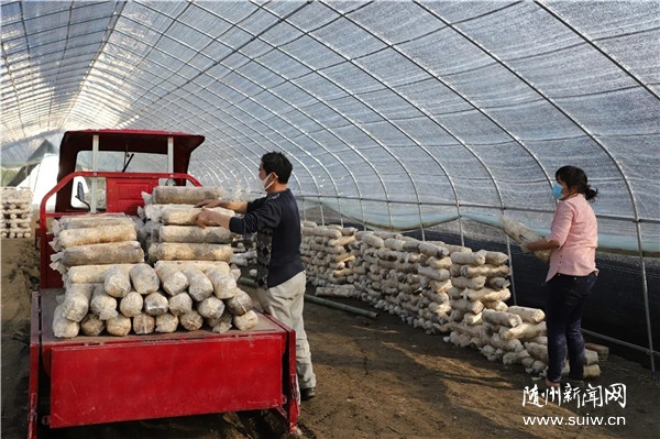 ��Óؚ���ԡ�����(zh��n):��(y��u)�ݮa�I(y��)����Óؚ����