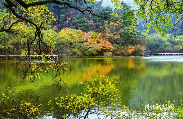 ����������ɽ