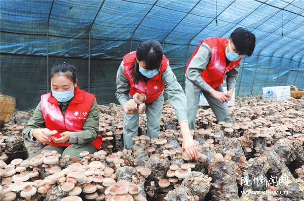 �x��(w��)��ժ�㹽������ɫ�a(ch��n)�I(y��)