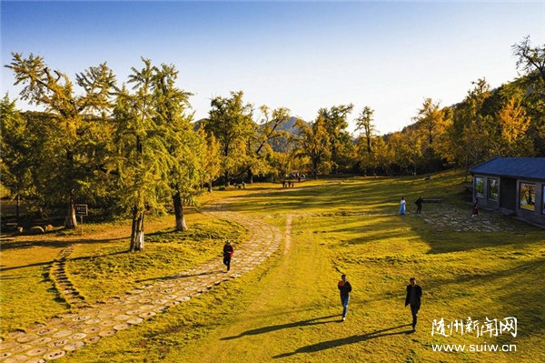 ����(zh��n)�y�ӝu�S