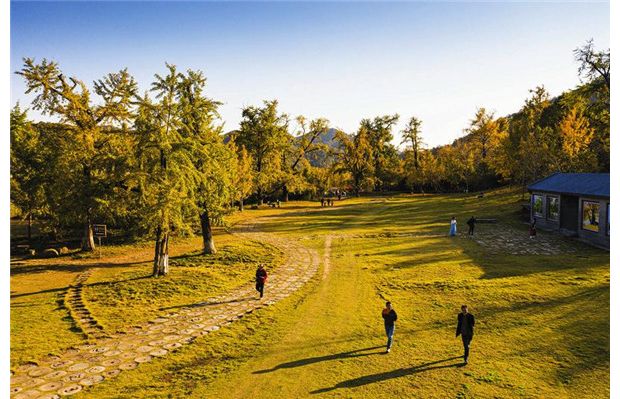 ���(y��ng)�(zh��n)�y�ӝu�S