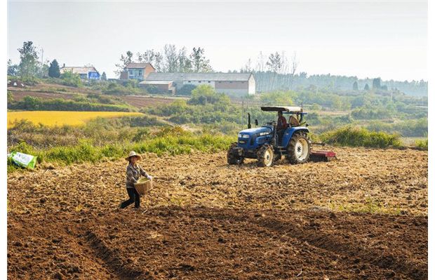 ���g���^һ�ɷ�æ