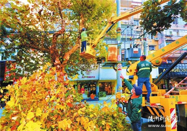 �е���(sh��)�����l(f��)��