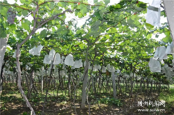 ��(zh��n)ؚ�в�ح�S�h�����(zh��n)���N�á��¸������~�ϡ�С��·��