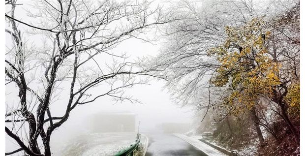 ���ɽӭ��(l��i)�׈�(ch��ng)��ѩ