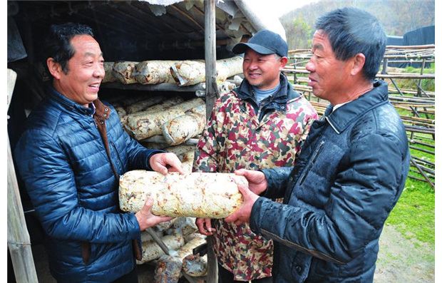 ָ��(d��o)�㹽���a(ch��n)