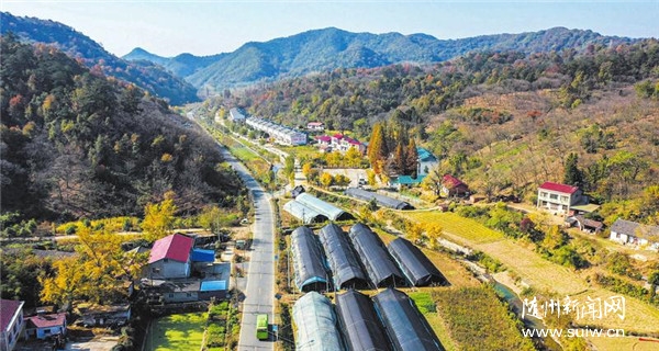 ���ҺӴ�������@�L(f��ng)��