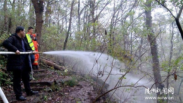 ɭ�ַ��𑪼��ݾ�