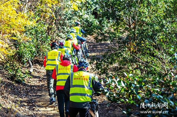 �x��(w��)����Ѳ��