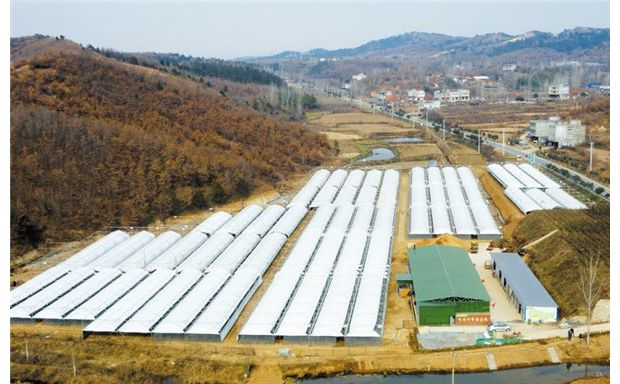 ���l(xi��ng)��(chu��ng)�I(y��)������