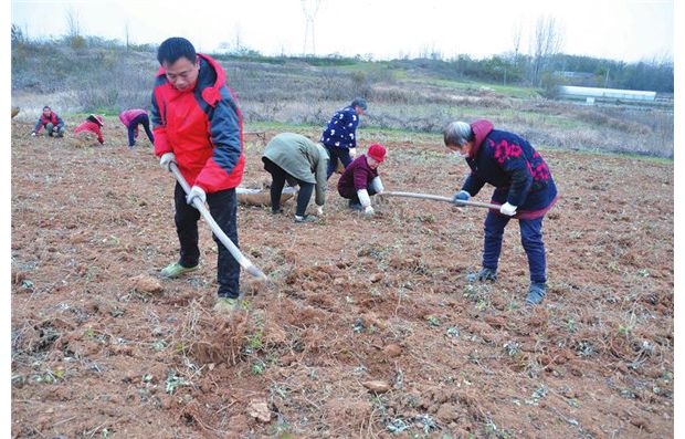 ����ָ��(d��o)�������ݷNֲ