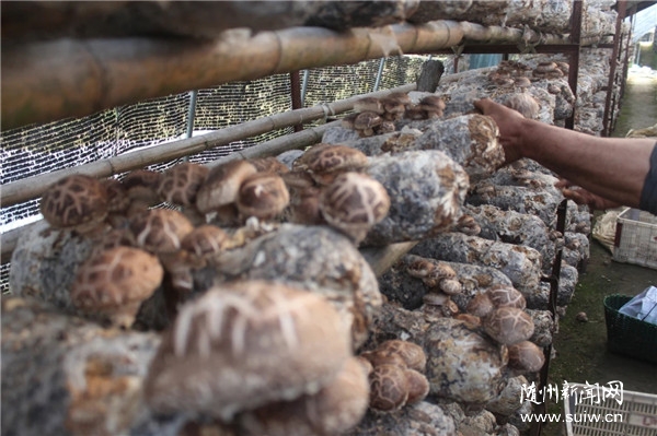 ���������҂���С����������ͣ��ڄ�ߵ�_�¸��T