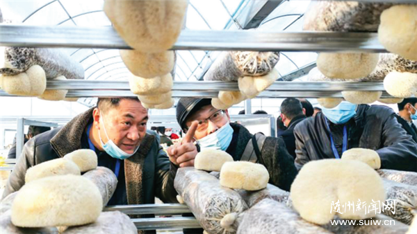 �F(xi��n)�����㹽�Nֲ���ء����M(j��n)���˹�����