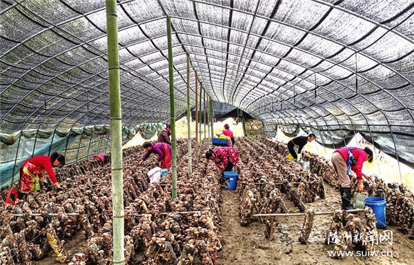 �������a�ںό��w