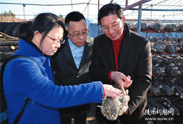 �˽⻨�����L(zh��ng)��r