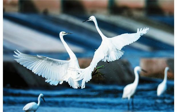 ���B(t��i)�h(hu��n)�����B(ni��o)����֪��