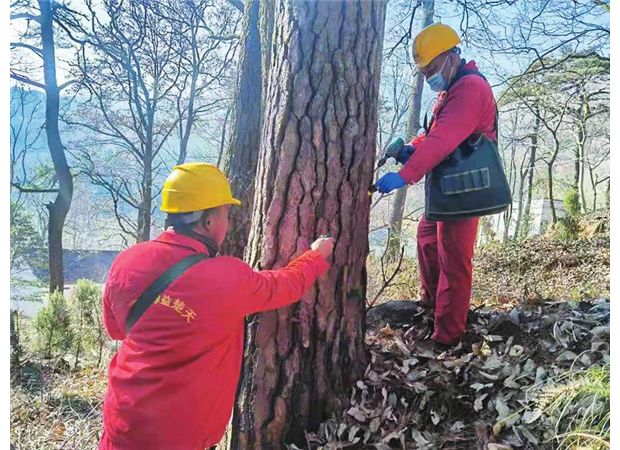 �֘I(y��)�к��������