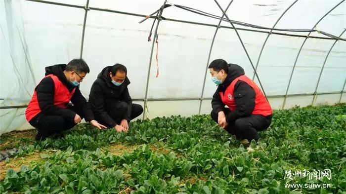 ���´��߻��ӡ��S�h�����(zh��n)��壺����ڄ��¸���(j��ng)