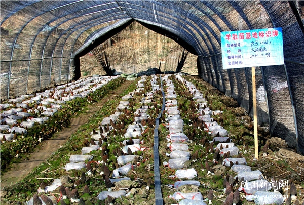 �S�h�ݵ��(zh��n)����Ǿ������r������  ����Ⱥ�����¸��㡱