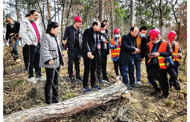 �ɲľ��x��ľ����