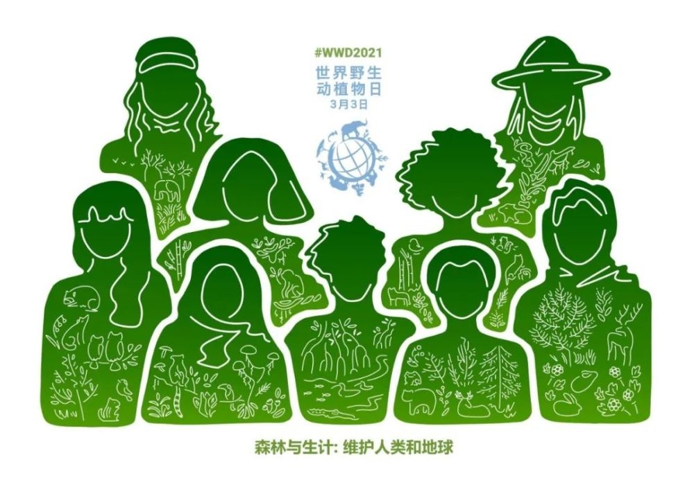 ������������2021��ڰ˂�������Ұ����ֲ���ա�