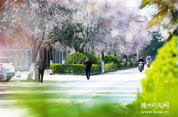 ����Į���