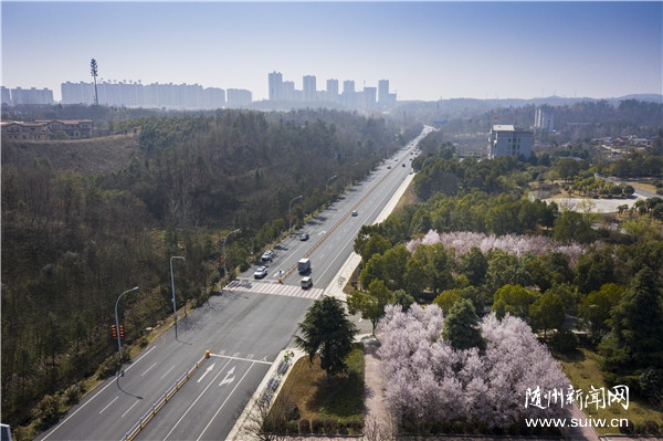 �S���������箋