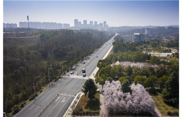 �S���������箋