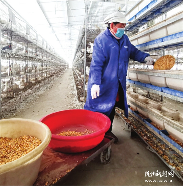 �l(f��)չ�еķN���B(y��ng)ֳ�S