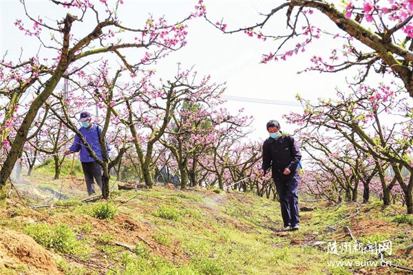 ���ڴ�����@����æ