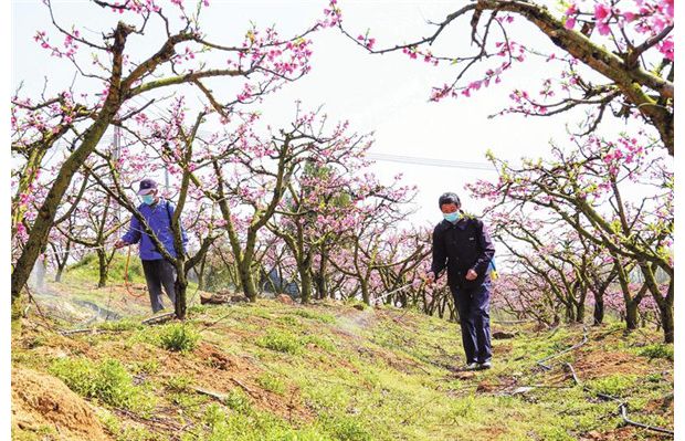 ���ڴ�����@����æ