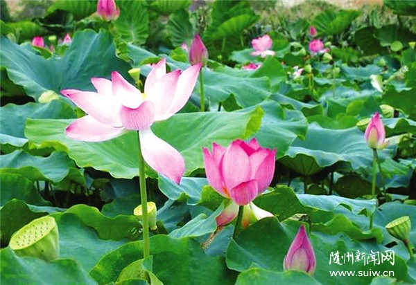 �������l(xi��ng)�塿��կ�(zh��n)�����:��������񸻵ġ����